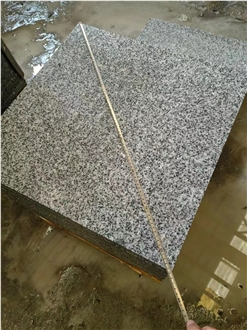 China Light Black Granite G655 Tiles