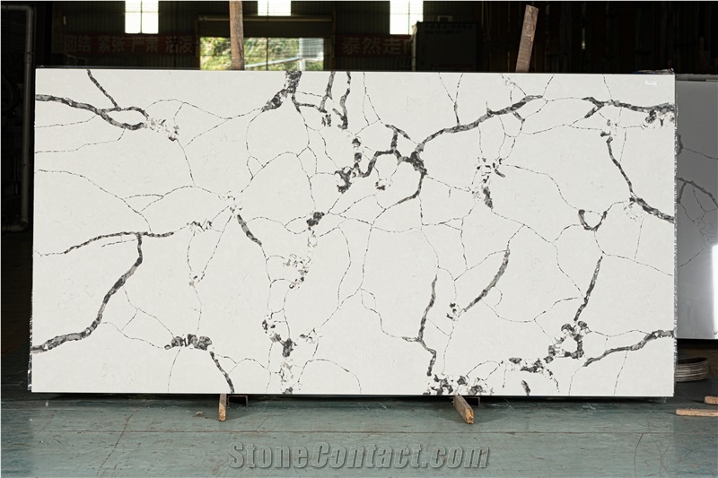 Calacatta Quartz Slabs