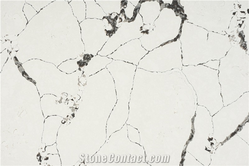 Calacatta Quartz Slabs