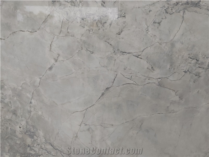 Armani Silver Marble Polished Slabs