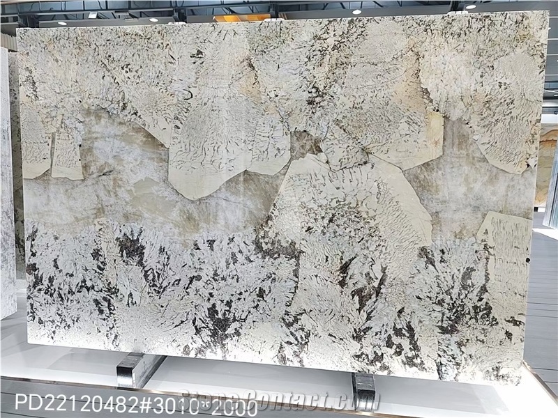 Brazil Pandora Quartzite White Stone Slabs For Flooring Tile