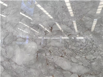 Wholesales Turkey Armani Silver Marble Slabs