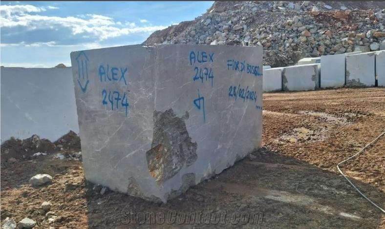 MCD Fior Di Bosco Marble Blocks