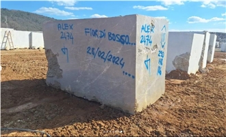 MCD Fior Di Bosco Marble Blocks