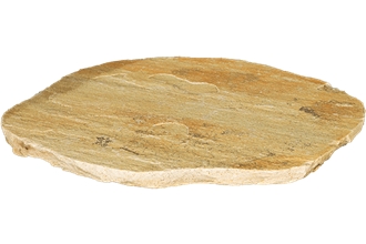 Fossil Stepping Stones