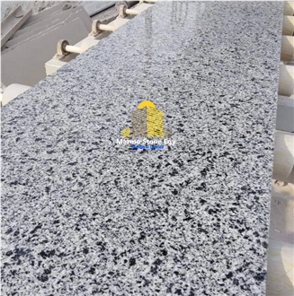 Silver Gray Granite New Halayeb Granite Slabs