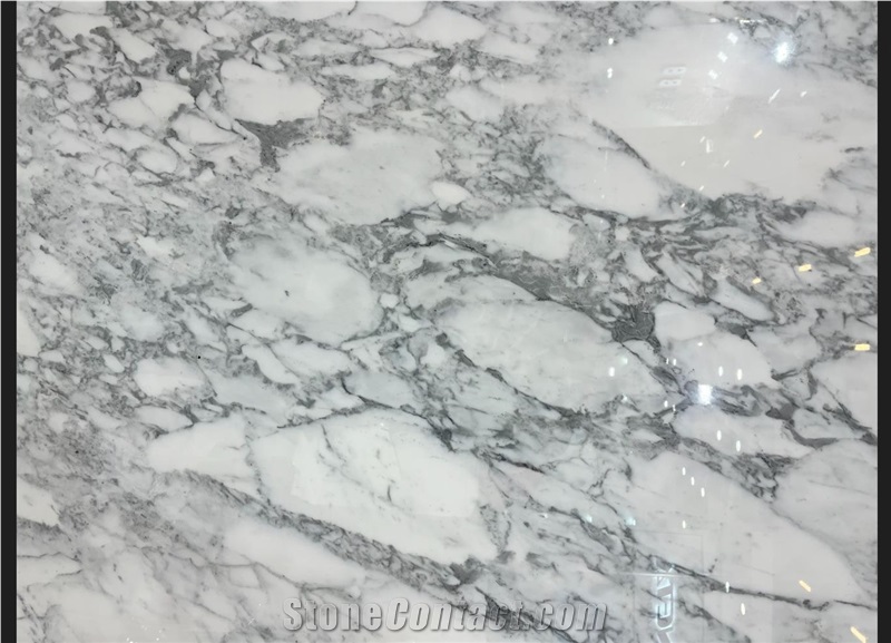Arabescato Marble Slab