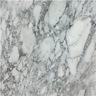 Arabescato Marble Tile