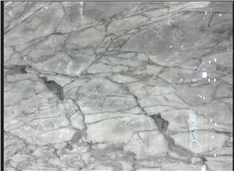 Bardiglio Vagli Marble Slab
