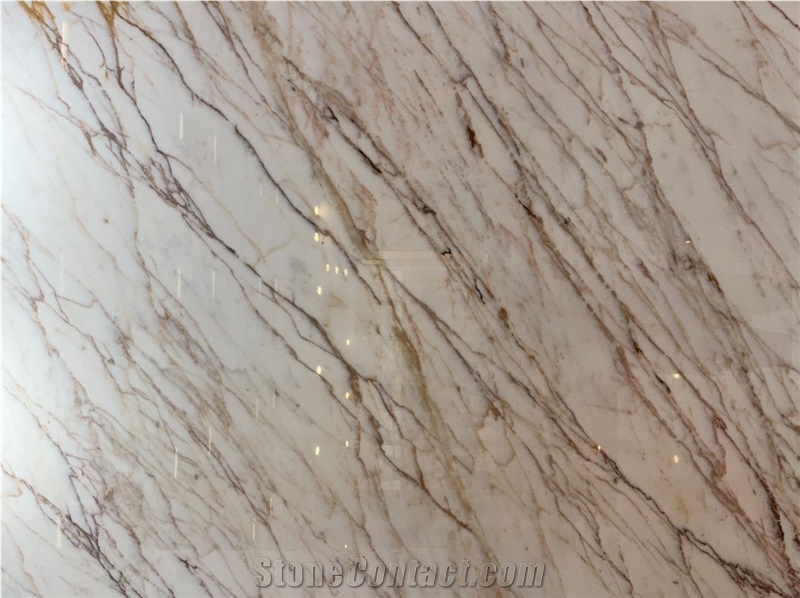 Bianca Foresta Marble Slab