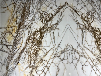 Bianca Foresta Marble Slab