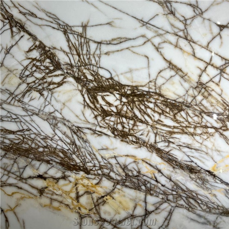 Bianca Foresta Marble Tile