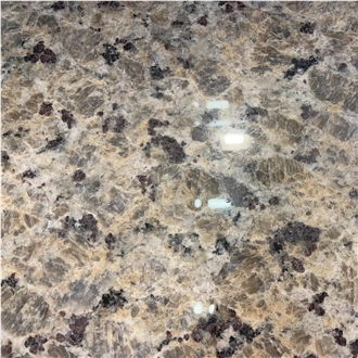 Butterfly Gold Granite