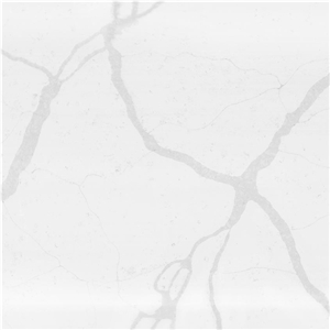 Calacatta Premium Quartz