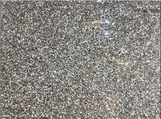 Ezine Grey Granite Slab