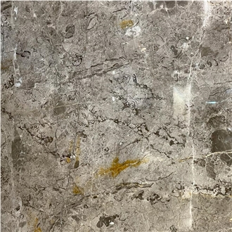 MCD Fossil Grey Marble