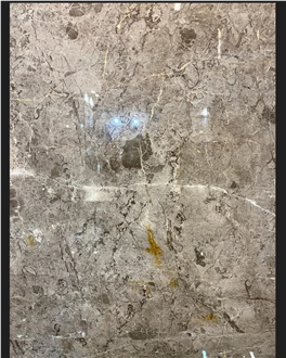 MCD Fossil Grey Marble Slab
