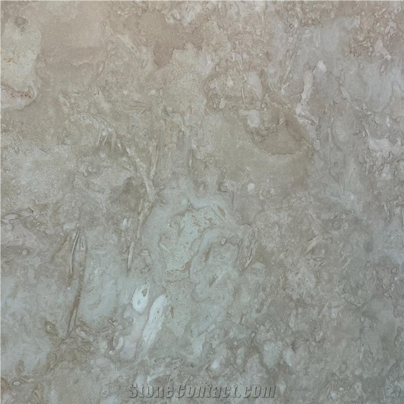 Oyster Marble importance=