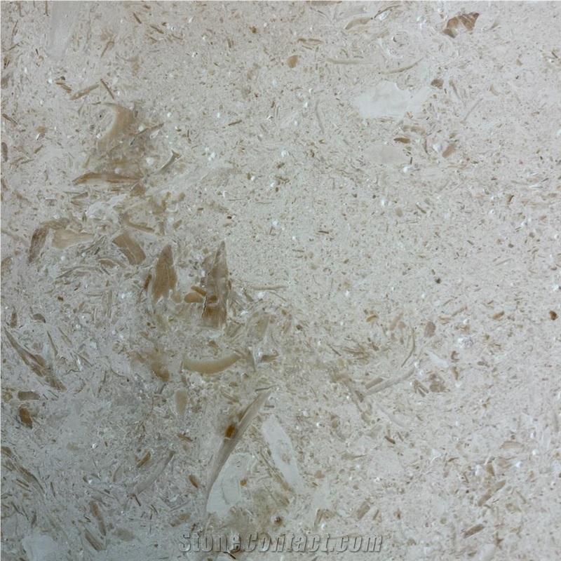Seashell Limestone importance=