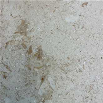 Seashell Limestone