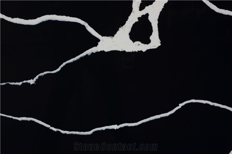 Calacatta Black Quartz Slabs For Flooring Use