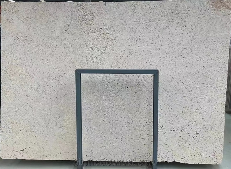 China Beige Coral Stone Slab Wall Tiles