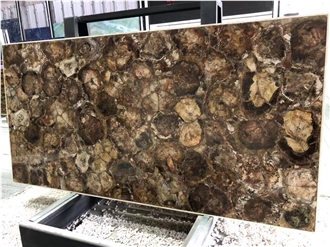Petrified Wood  Semiprecious Stone Slabs