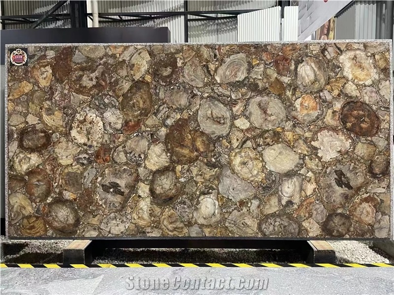Petrified Wood  Semiprecious Stone Slabs