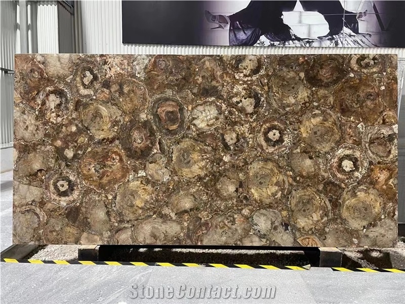 Petrified Wood  Semiprecious Stone Slabs