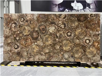 Petrified Wood  Semiprecious Stone Slabs