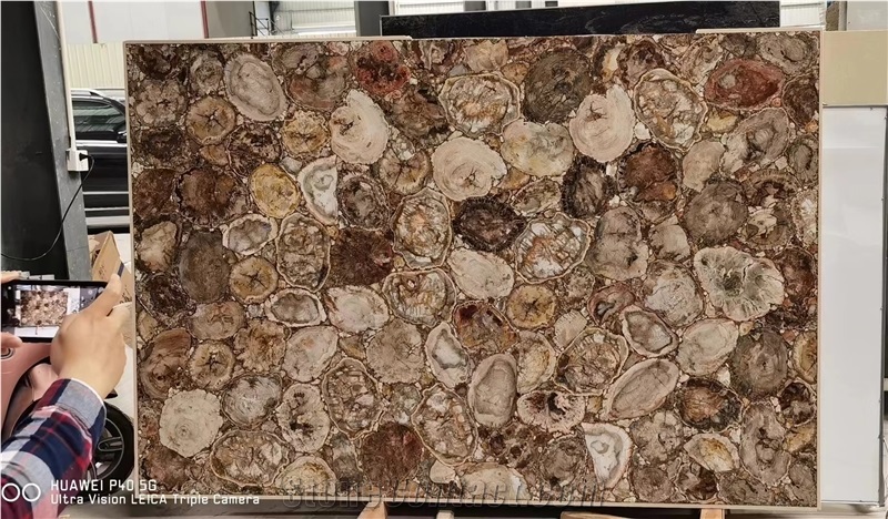Petrified Wood  Semiprecious Stone Slabs