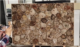 Petrified Wood  Semiprecious Stone Slabs