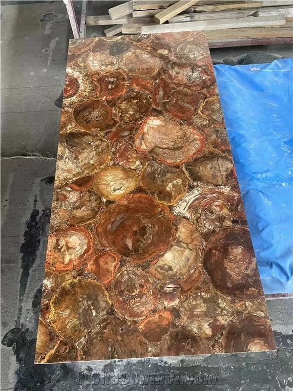 Petrified Wood  Semiprecious Stone Slabs