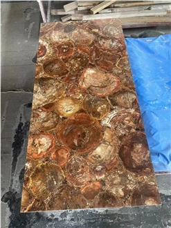 Petrified Wood  Semiprecious Stone Slabs