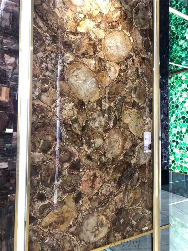 Petrified Wood  Semiprecious Stone Slabs