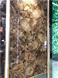 Petrified Wood  Semiprecious Stone Slabs