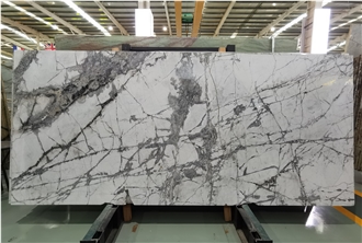 Polished Eksioglu Calacatta Marble Slabs Polished Eksioglu Calacatta Marble Slabs