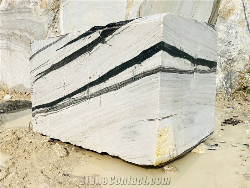 Exotic Panda White Marble Blocks