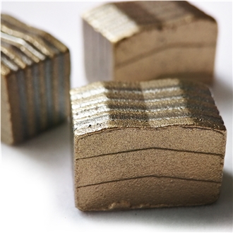 Diamond Segments For Single Blade 11.8/11.2 5/20