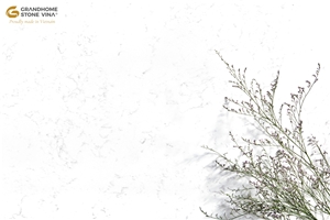Carrara White Quartz Slabs GSV 7101