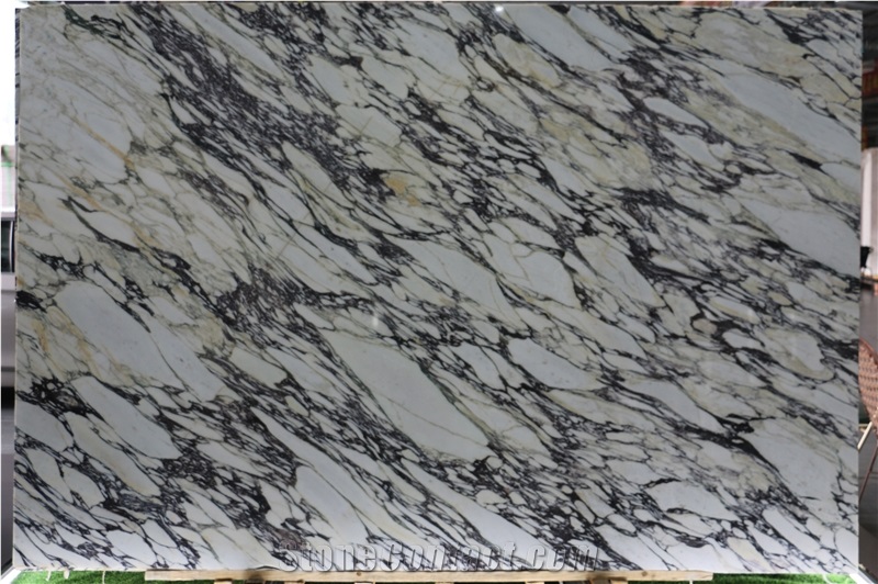 Calacatta Viola Marble Slabs