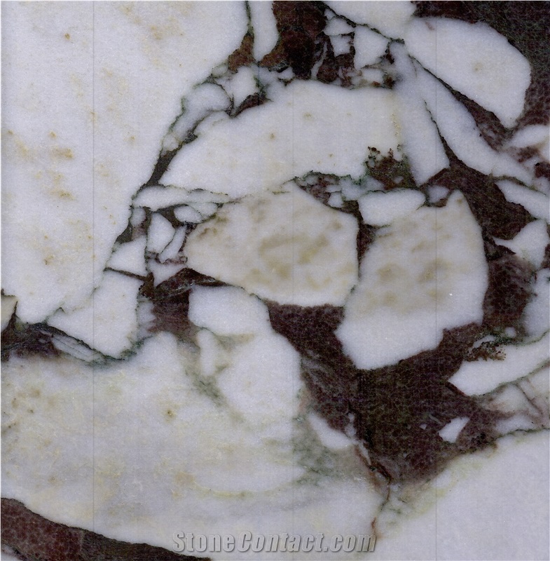 Calacatta Viola Marble Slabs