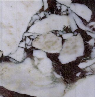 Calacatta Viola Marble Slabs
