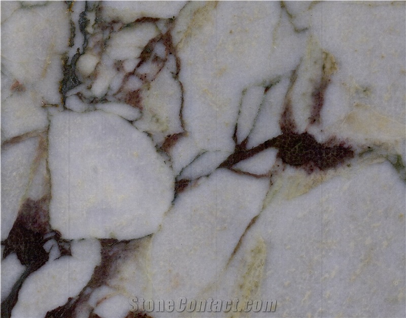 Calacatta Viola Marble Slabs