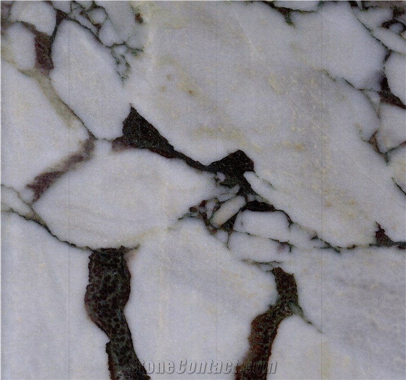 Calacatta Viola Marble Slabs