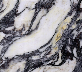 Calacatta Viola Marble Slabs