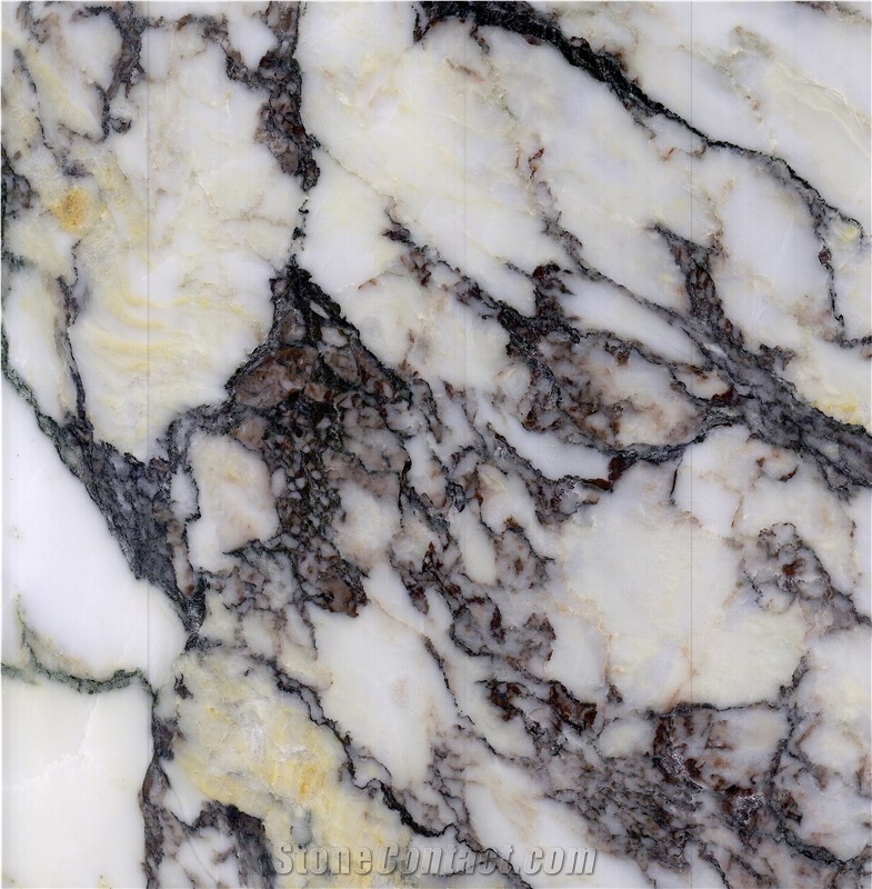 Calacatta Viola Marble Slabs