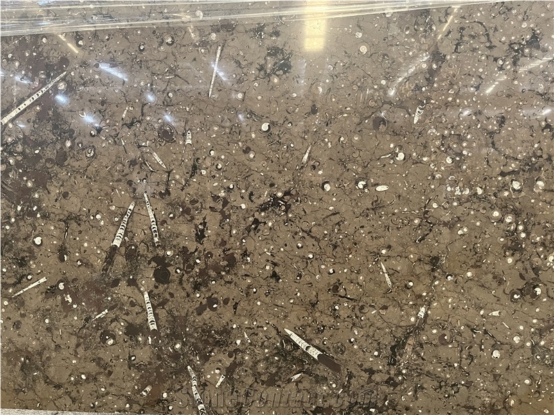 Brown Fossil Marble Stone Slabs