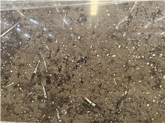 Brown Fossil Marble Stone Slabs