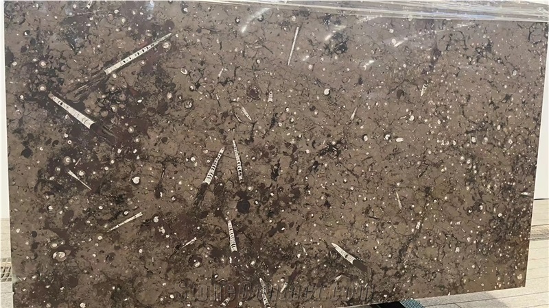 Brown Fossil Marble Stone Slabs